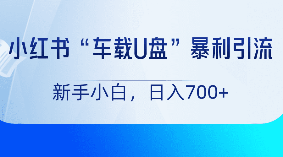 小红书“车载U盘”项目，暴利引流，新手小白轻松日入700+-优优云创