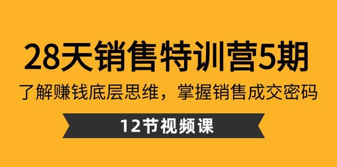 28天销售特训营5期:了解赚钱底层思维,掌握销售成交密码(12节课)-副业吧