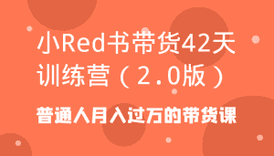 小Red书带货42天训练营（2.0版）普通人月入过万的带货课-副业吧