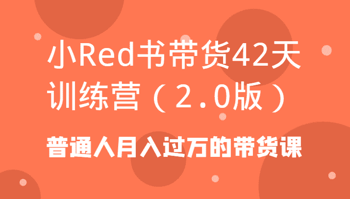 小Red书带货42天训练营（2.0版）普通人月入过万的带货课-副业吧