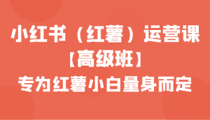 小红书（红薯）运营课【高级班】，专为红薯小白量身而定（42节课）-优优云创