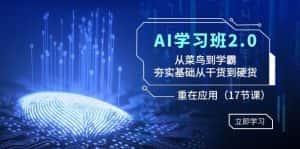 AI学习班2.0：从菜鸟到学霸，夯实基础从干货到硬货，重在应用（17节课）-优优云创