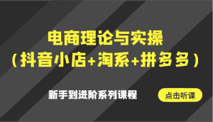 电商理论与实操（抖音小店+淘系+拼多多）新手到进阶系列课程-优优云创