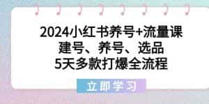 2024小红书养号+流量课：建号、养号、选品，5天多款打爆全流程-优优云创