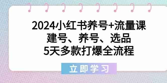 2024小红书养号+流量课：建号、养号、选品，5天多款打爆全流程-优优云创