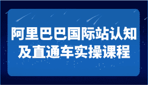 阿里巴巴国际站认知及直通车实操课-国际地产逻辑、国际站运营定位、TOP商家运营思路-副业吧
