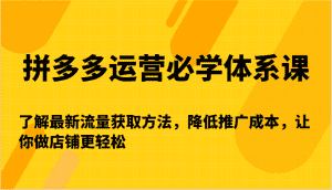 拼多多运营必学体系课-了解最新流量获取方法,降低推广成本,让你做店铺更轻松-副业吧