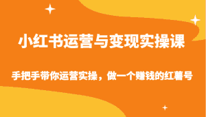 小红书运营与变现实操课-手把手带你运营实操,做一个赚钱的红薯号-副业吧