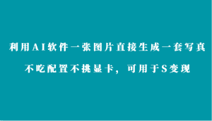 利用AI软件只需一张图片直接生成一套写真,不吃配置不挑显卡,可用于S变现-副业吧