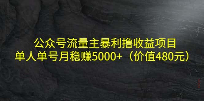 （4011期）公众号流量主暴利撸收益项目，单人单号月稳赚5000+（价值480元）-副业吧
