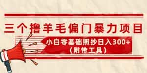 （4110期）外面卖998的三个撸羊毛偏门暴力项目，小白零基础照抄日入300+（附带工具）-副业吧