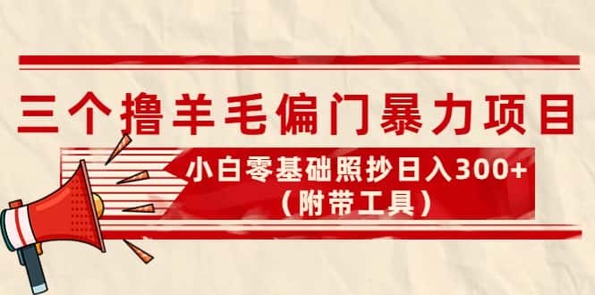 （4110期）外面卖998的三个撸羊毛偏门暴力项目，小白零基础照抄日入300+（附带工具）-副业吧