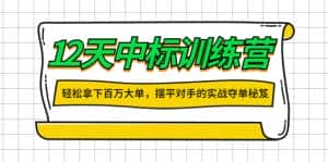 (4116期)12天中标训练营:轻松拿下百万大单,摆平对手的实战夺单秘笈!-副业吧