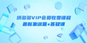 (4127期)某社群·拼多多VIP会员收费课程,最新集训营+答疑课-价值3299元-副业吧