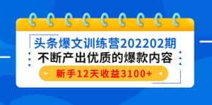 (4167期)头条爆文训练营202202期,不断产出优质的爆款内容,新手12天收益3100+-副业吧