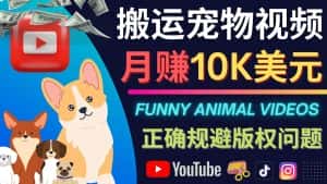 (4221期)搬运TIKTOK视频到YouTube,并进行二次创作,月赚1万美元以上-优优云创