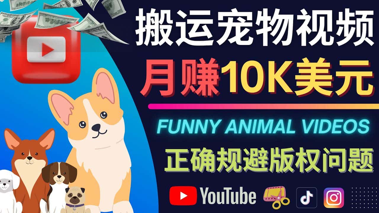 （4221期）搬运TIKTOK视频到YouTube，并进行二次创作，月赚1万美元以上-优优云创