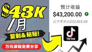 (4371期)2022抖音国际版Tiktok赚钱项目:每天上传一个视频就轻松月入$43200-优优云创