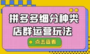 （4373期）拼多多细分种类店群运营玩法3.0，11月最新玩法，小白也可以操作-优优云创