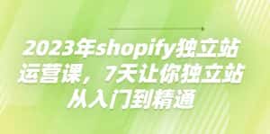 （4230期）2023年shopify独立站运营课，7天让你独立站从入门到精通-优优云创