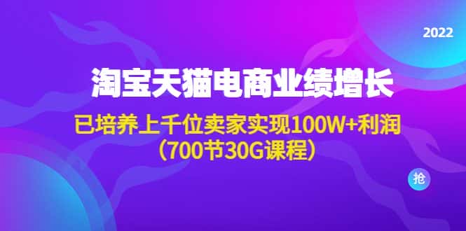 （4409期）淘系天猫电商业绩增长：已培养上千位卖家实现100W+利润（700节30G课程）-优优云创