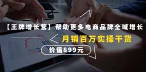 （4264期）【王牌增长营】帮助更多电商品牌全域增长，月销百万实操干货，价值899元-优优云创