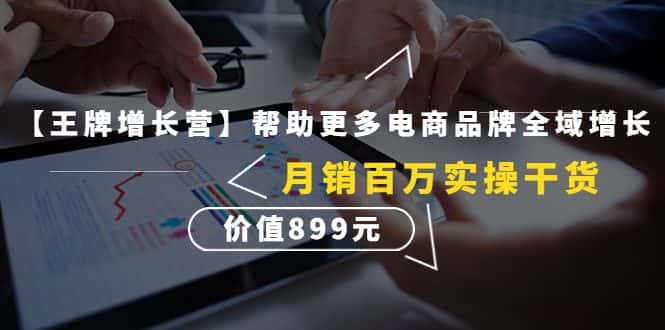 （4264期）【王牌增长营】帮助更多电商品牌全域增长，月销百万实操干货，价值899元-优优云创