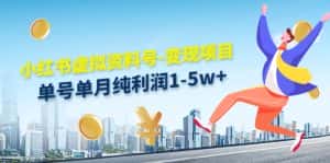 （4530期）小红书虚拟资料号-变现项目：单号单月纯利润1-5w+实操玩法分享-优优云创