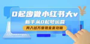 （4543期）0起步做小红书大v，新手从0起号运营，月入过万变现全套攻略-优优云创