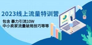 （4567期）2023线上流量特训营：包含暴力引流10W+中小卖家流量破局技巧等等-优优云创