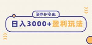 （4576期）资料IP变现，能稳定日赚3000起的持续性盈利玩法-优优云创