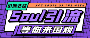 （4659期）【引流必备】神鹰-Soul引流脚本【永久脚本+详细教程】-优优云创