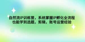 （4688期）自然流IP训练营，系统掌握IP孵化全流程，也能学到选题，剪辑，账号运营经验-优优云创