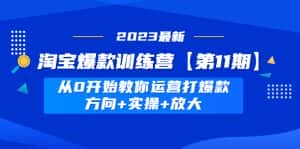（4784期）淘宝爆款训练营【第11期】 从0开始教你运营打爆款，方向+实操+放大-优优云创