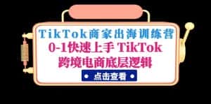 （4795期）TikTok商家出海训练营：0-1快速上手 TikTok跨境电商底层逻辑(无中创水印)-优优云创