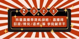 （4799期）抖音直播带货实战班：直播间引流/转化/话术/等 学完就开干(无中创水印)-优优云创