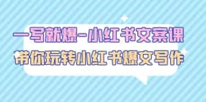 （4858期）一写就爆-小红书文案课：带你玩转小红收爆文写作（45节课）-优优云创