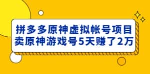 （4860期）外面卖2980的拼多多原神虚拟帐号项目：卖原神游戏号5天赚了2万-优优云创