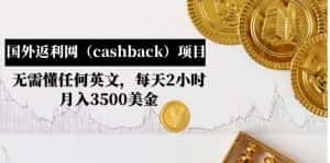 （4888期）国外返利网（cashback）项目：无需懂任何英文，每天2小时，月入3500美金-优优云创