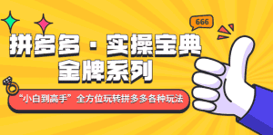 （4934期）拼多多·实操宝典：金牌系列“小白到高手”带你全方位玩转拼多多各种玩法-优优云创