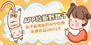 （4946期）APP拉新野路子：快手极速版的APP拉新赚，实操收益2803元-优优云创
