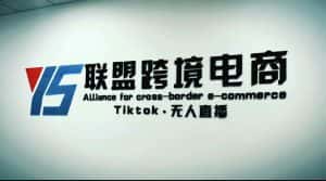 （5016期）Tiktok无人直播，不出镜不剪辑不拍摄不发货无售后的跨境短视频躺赚玩法-副业吧