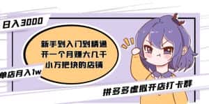 （5023期）拼多多虚拟开店打卡群：入门到精通（昨日群里有小伙伴日入3000+）2月26更新-优优云创