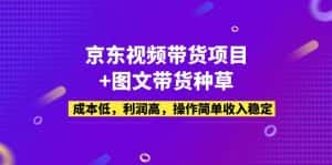 （5035期）京东视频带货项目+图文带货种草，成本低，利润高，操作简单收入稳定-优优云创