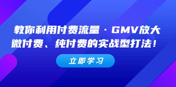 （5106期）教你利用付费流量·GMV放大，微付费、纯付费的实战型打法！-优优云创