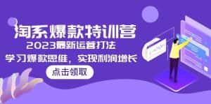 （5121期）2023淘系爆款特训营，2023最新运营打法，学习爆款思维，实现利润增长-优优云创