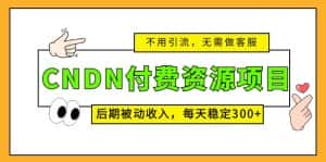 （5137期）CNDN付费资源项目，不用引流，无需做客服，后期被动收入，每天稳定300+-优优云创