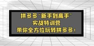 (5173期)拼多多“新手到高手”实战特训营:带你全方位玩转拼多多!-副业吧