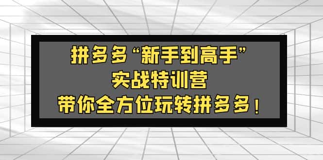 (5173期)拼多多“新手到高手”实战特训营:带你全方位玩转拼多多!-副业吧