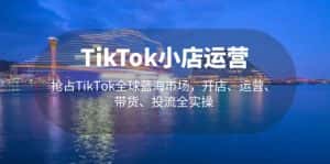 （5200期）TikTok小店运营 抢占TikTok全球蓝海市场，开店、运营、带货、投流全实操-优优云创